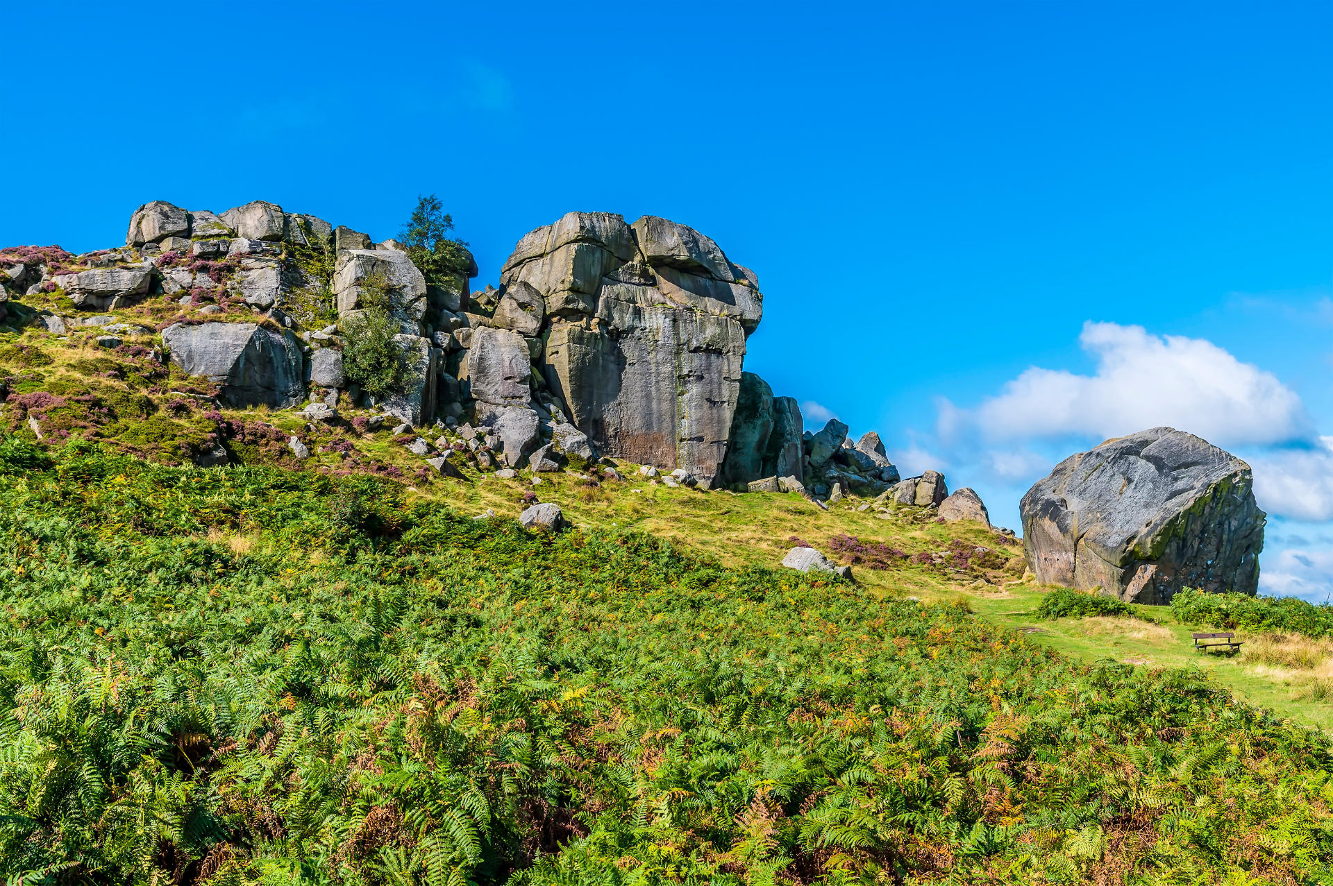 Asbestos Removal in Asbestos Removal in Ilkley